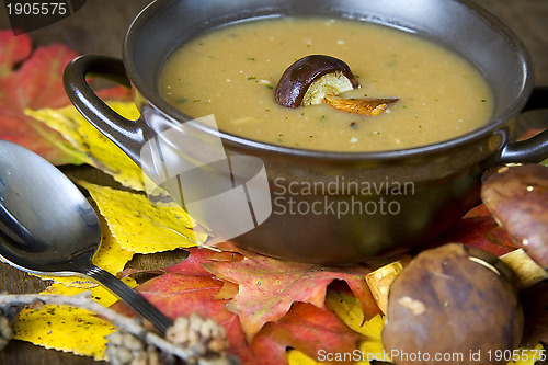 Image of Mushroom soup