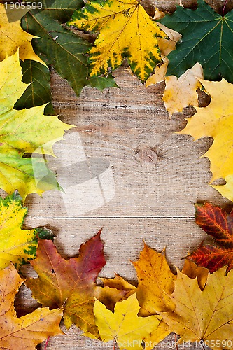Image of autumn leaves frame