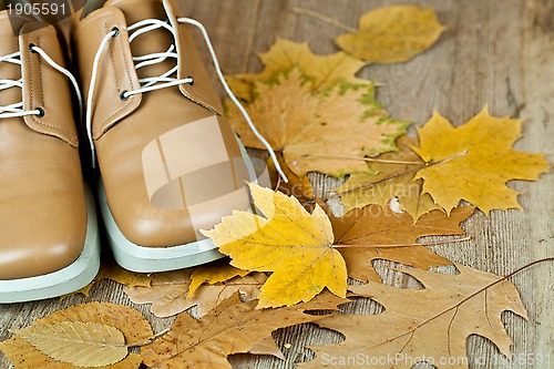 Image of leather shoes and yellow leaves