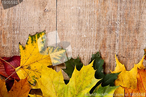 Image of autumn leaves over wooden background