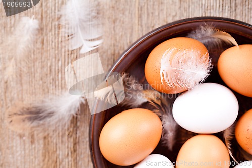 Image of eggs and feathers