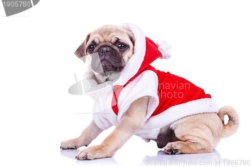 Image of pug puppy wearing a santa claus costume