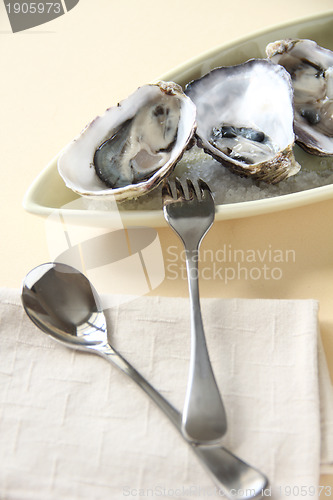 Image of Oysters And Cutlery