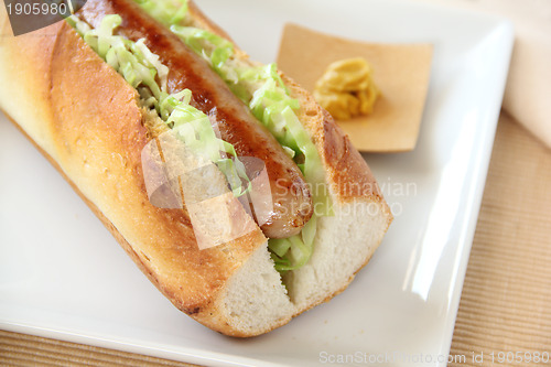 Image of Pork Hot Dog