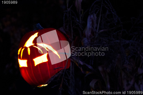 Image of Halloween Jack-o-Lantern