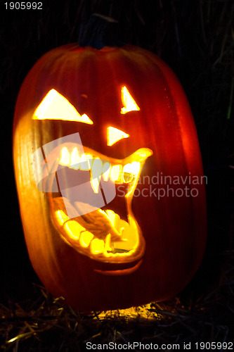 Image of Halloween Jack-o-Lantern