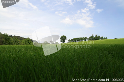 Image of Quiet Spring landscape