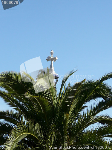 Image of Palm and crucifix