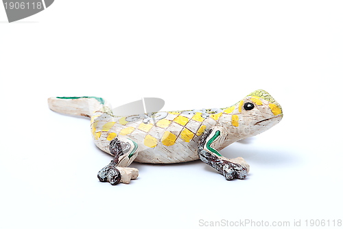Image of salamander