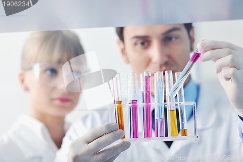 Image of science people in bright lab