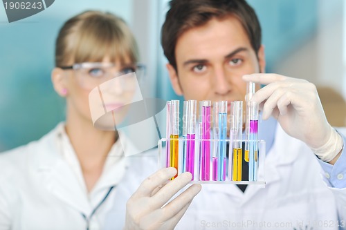 Image of science people in bright lab