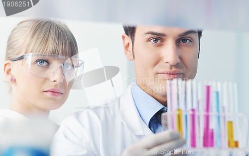 Image of science people in bright lab