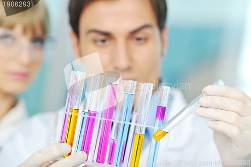 Image of science people in bright lab