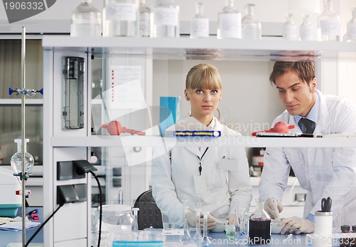 Image of science people in bright lab