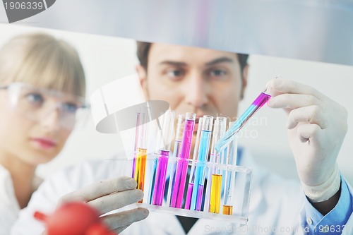 Image of science people in bright lab