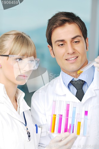 Image of science people in bright lab