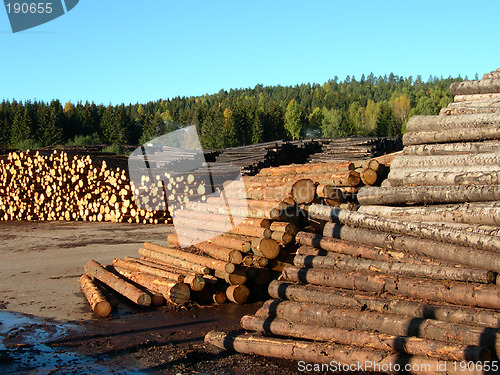 Image of Timber