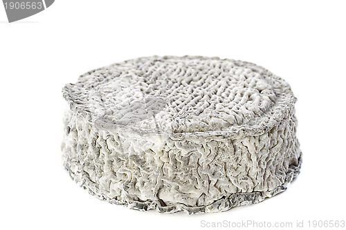 Image of goat cheese