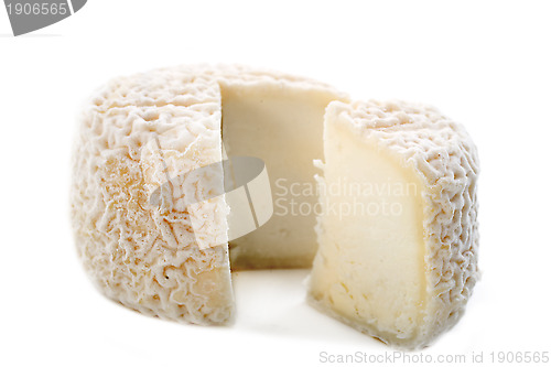 Image of goat cheese crottin de chavignol