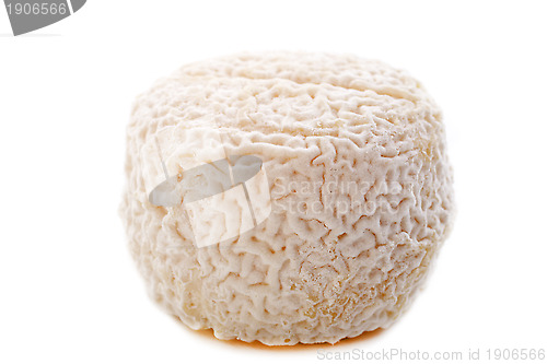 Image of goat cheese crottin de chavignol