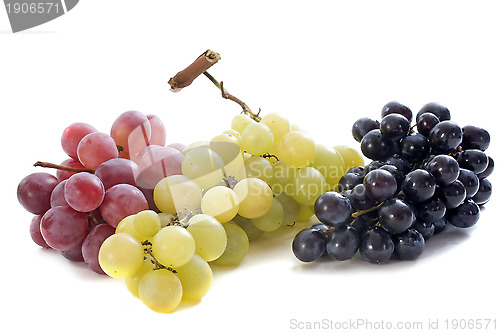 Image of three varieties of grapes