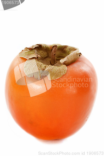 Image of persimmon