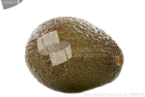 Image of avocado