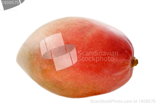 Image of mango