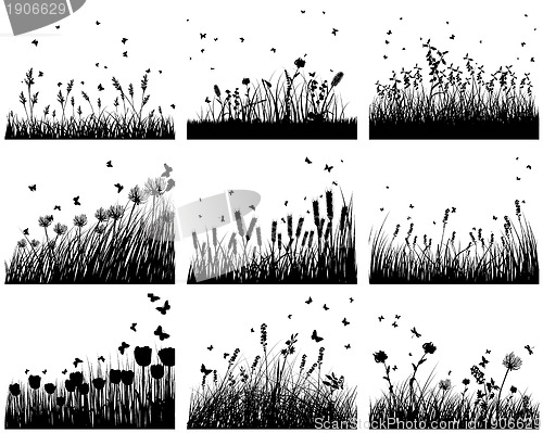 Image of nine meadow background