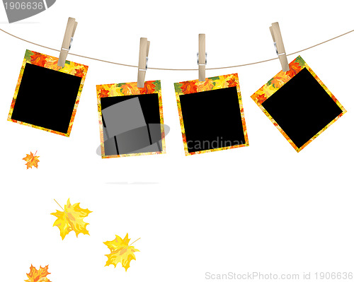Image of Autumn maple photo