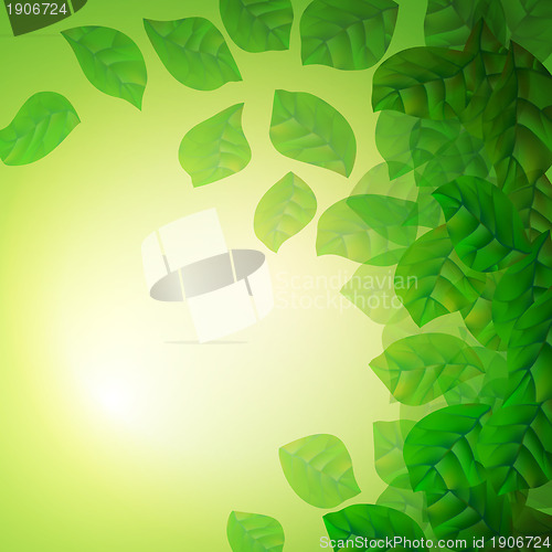 Image of Fresh Green Background