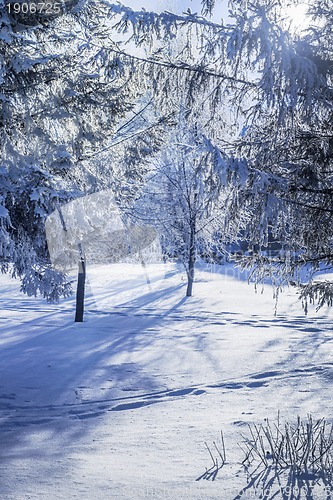 Image of winter evening landscape