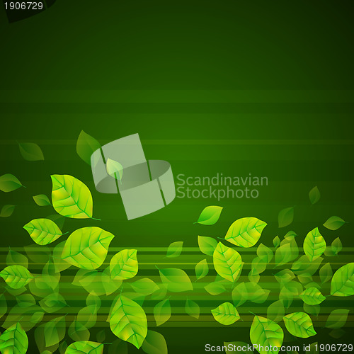 Image of Fresh Green Background