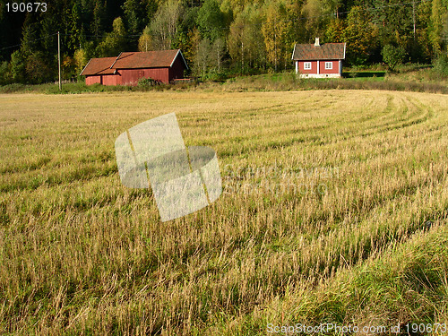 Image of Farm