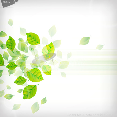 Image of Fresh Green Background