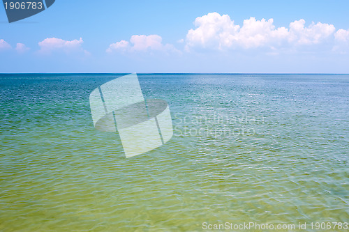 Image of Seascape. Coastal shallow water