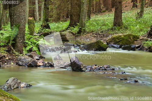 Image of Mountain stream in a forest