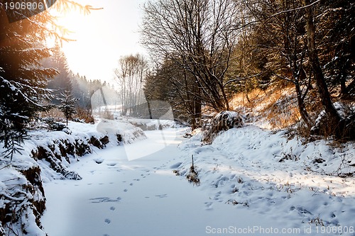 Image of Sunny morning in winter landscape