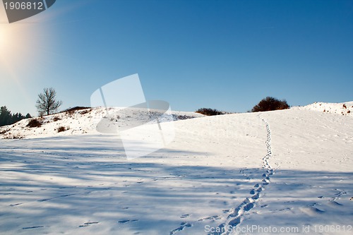 Image of winter scene