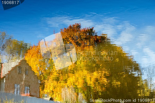 Image of Realistic rural water reflection in the pond