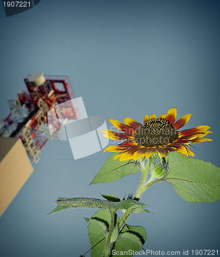 Image of Sunflower, cellphone tower