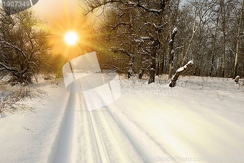 Image of winter landscape