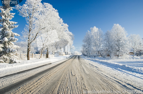 Image of Winter rural road between the trees covered with frost on a sunny day