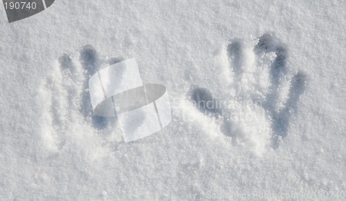 Image of Little Snow Hands
