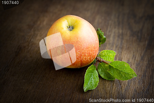 Image of Apple