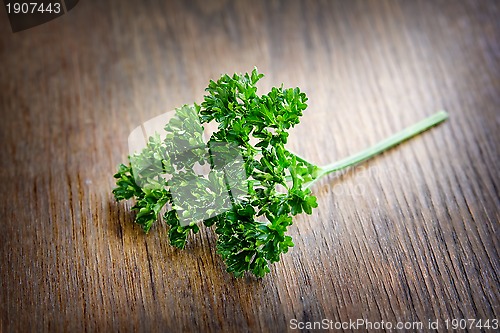 Image of Parsley