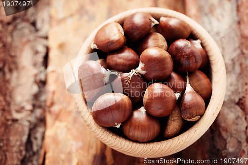Image of edible chestnuts