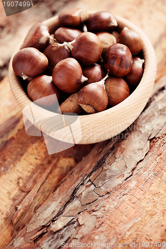 Image of edible chestnuts