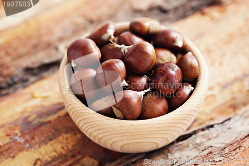 Image of edible chestnuts