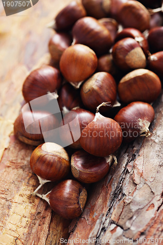 Image of edible chestnuts